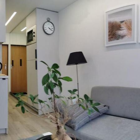 Salia Centro Leilighet VNO Eksteriør bilde